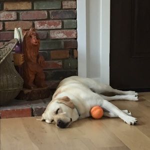 Meet your Posher, Sara